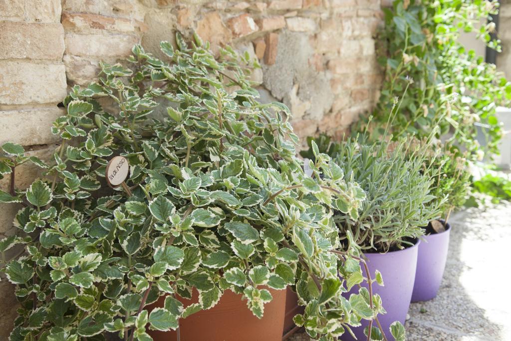 Break And Bed Bed & Breakfast Perugia Luaran gambar