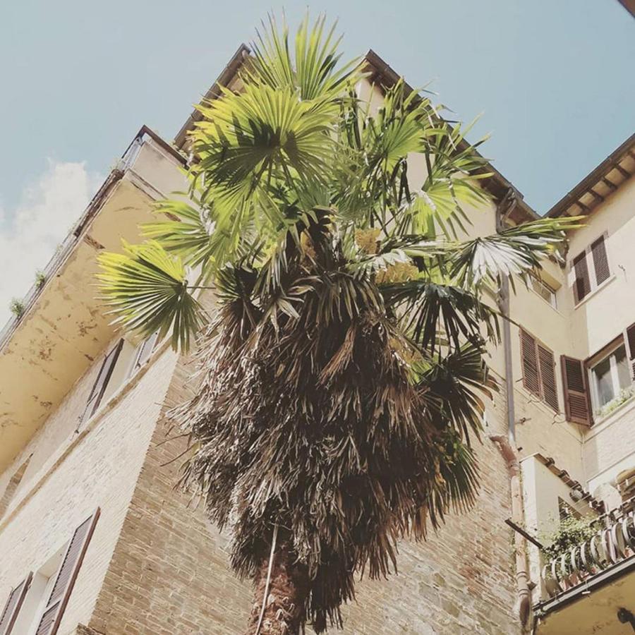 Break And Bed Bed & Breakfast Perugia Luaran gambar